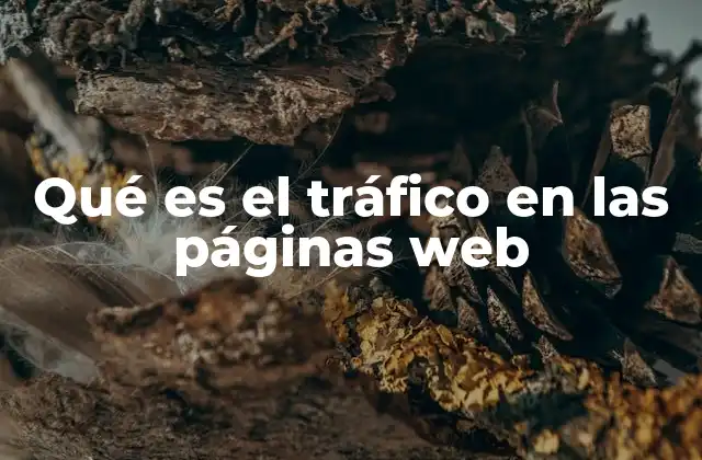 Qué es el Tráfico en las Páginas Web 2 La importancia del flujo de visitantes en la presencia digital