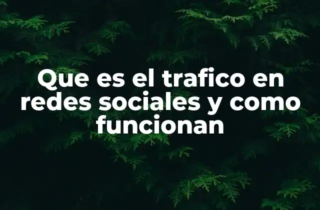 Que es el Trafico en Redes Sociales y como Funcionan