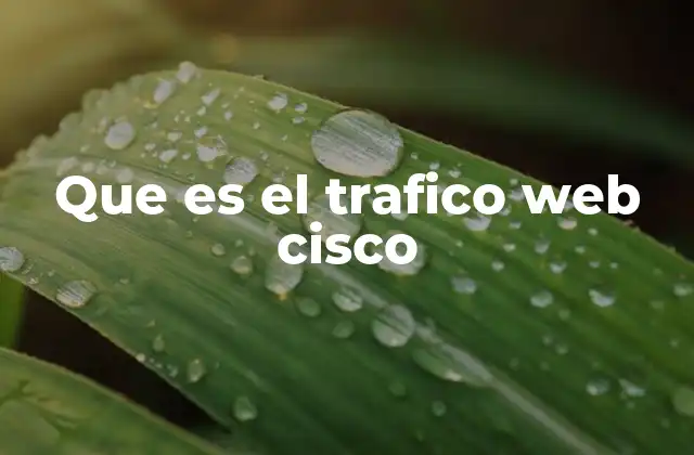 Que es el Trafico Web Cisco