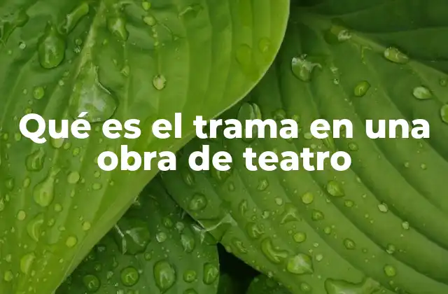 Qué es el Trama en una Obra de Teatro