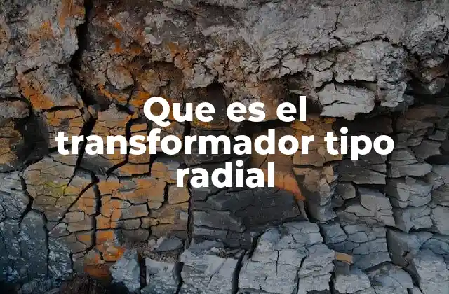 Que es el Transformador Tipo Radial