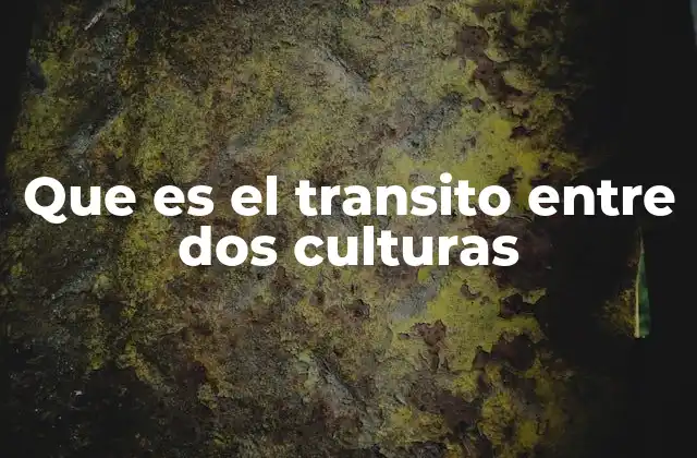 Que es el Transito entre Dos Culturas