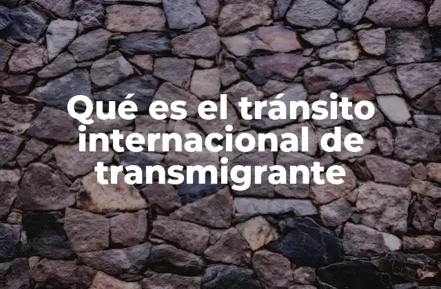 Qué es el Tránsito Internacional de Transmigrante