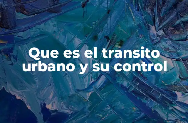 Que es el Transito Urbano y Su Control