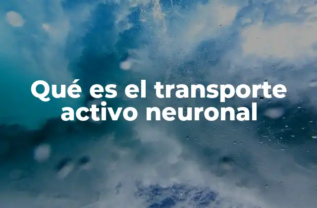 Qué es el Transporte Activo Neuronal 2 El papel del transporte activo en la función neuronal