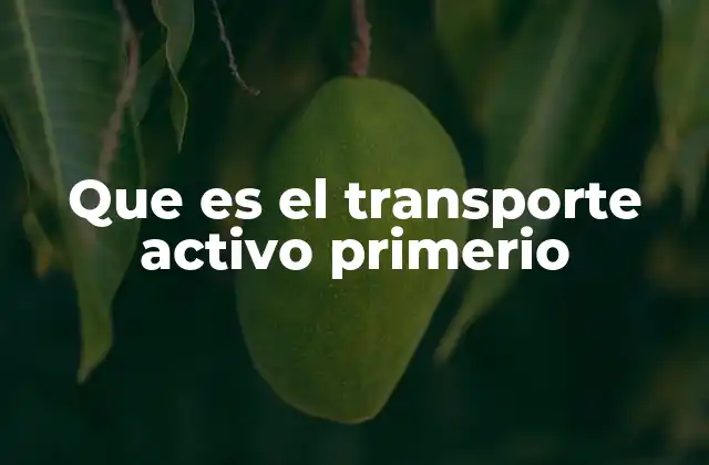 El transporte activo primario y su relevancia en la fisiología celular