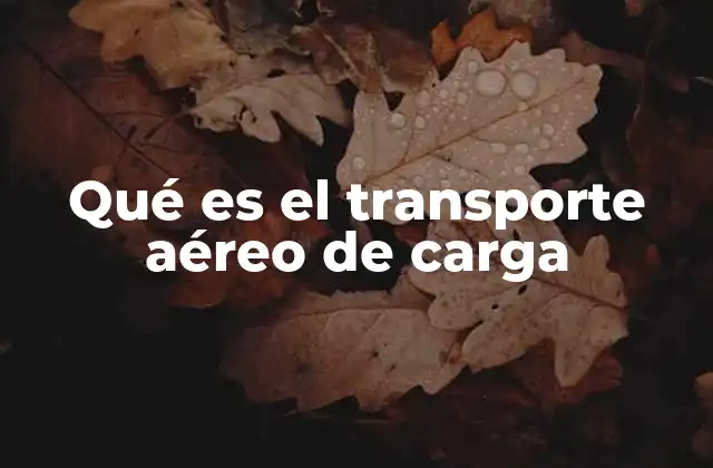 Qué es el Transporte Aéreo de Carga