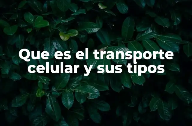 Que es el Transporte Celular y Sus Tipos