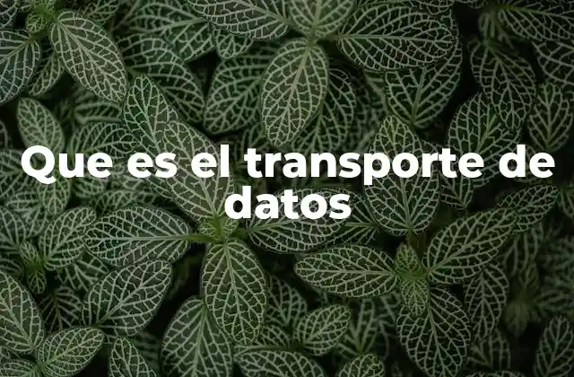 Que es el Transporte de Datos