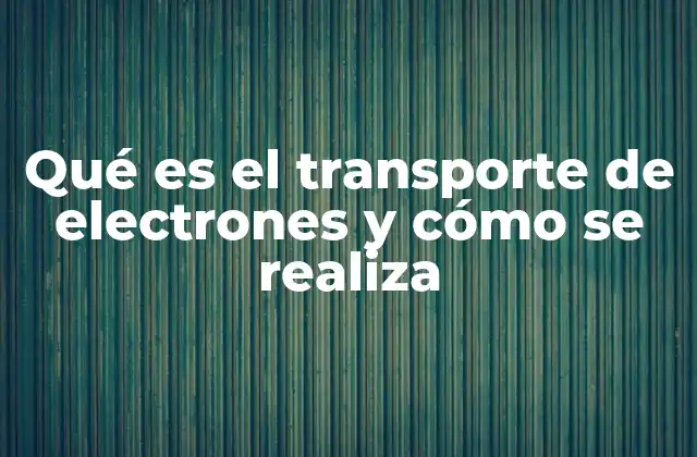 Qué es el Transporte de Electrones y Cómo Se Realiza 2 El papel del transporte de electrones en la producción de energía celular