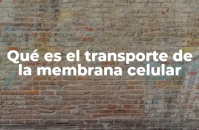 Qué es el Transporte de la Membrana Celular