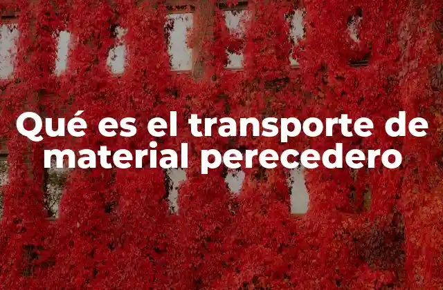 Qué es el Transporte de Material Perecedero