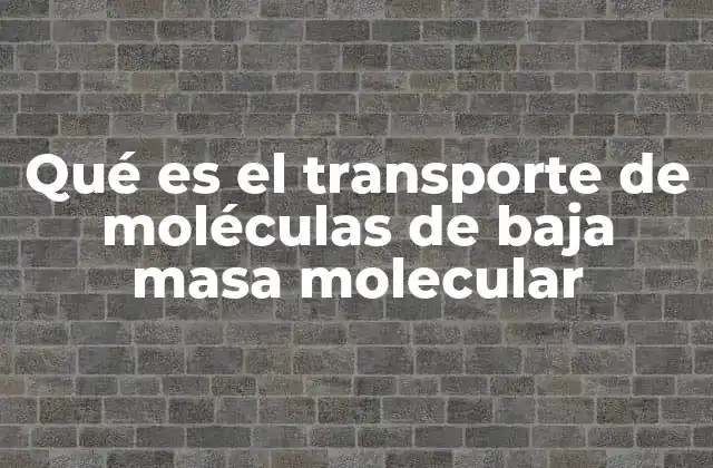 Qué es el Transporte de Moléculas de Baja Masa Molecular