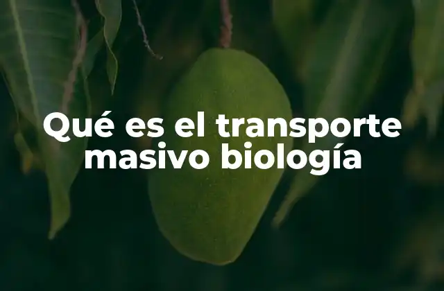 Qué es el Transporte Masivo Biología