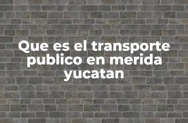 Que es el Transporte Publico en Merida Yucatan