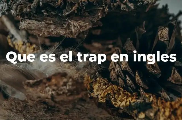 Que es el Trap en Ingles