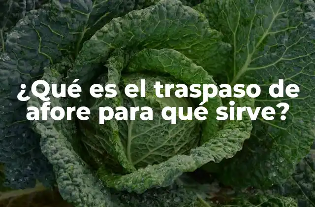 ¿qué es el Traspaso de Afore para Qué Sirve?