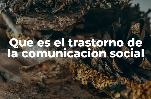 Que es el Trastorno de la Comunicacion Social