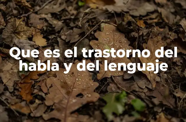 Que es el Trastorno Del Habla y Del Lenguaje