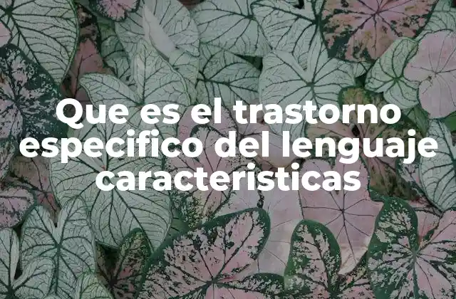 Que es el Trastorno Especifico Del Lenguaje Caracteristicas