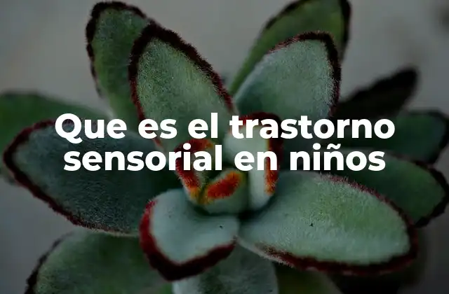 Que es el Trastorno Sensorial en Niños