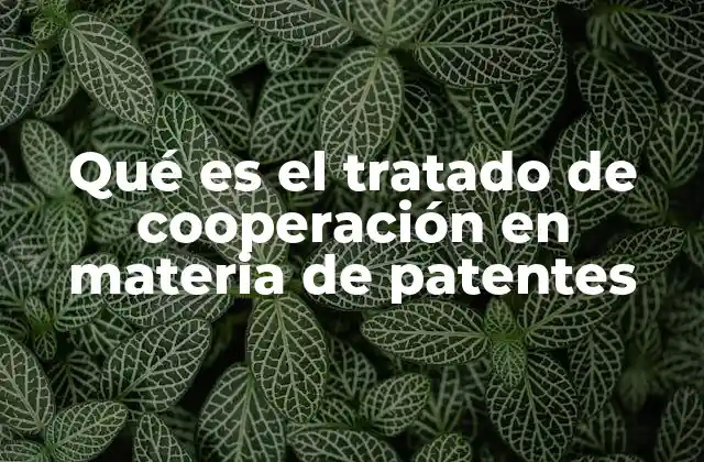 Qué es el Tratado de Cooperación en Materia de Patentes