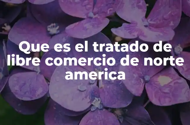 Que es el Tratado de Libre Comercio de Norte America