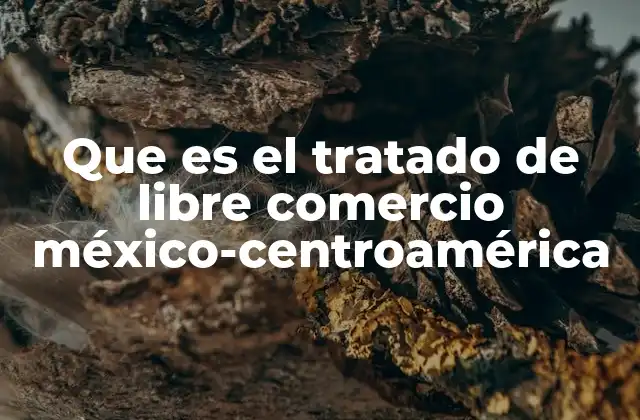 Que es el Tratado de Libre Comercio México-centroamérica
