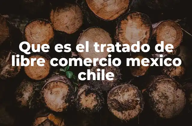 Cómo el TLC entre México y Chile transformó el comercio bilateral