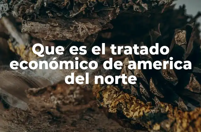 Que es el Tratado Económico de America Del Norte