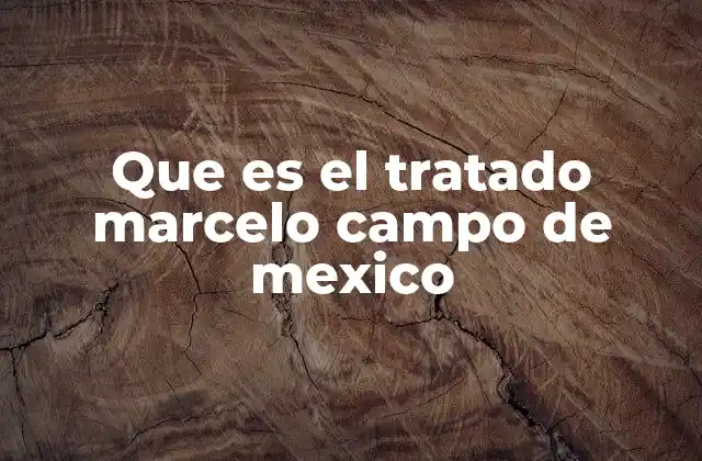 El contexto histórico del Tratado del Campo de México
