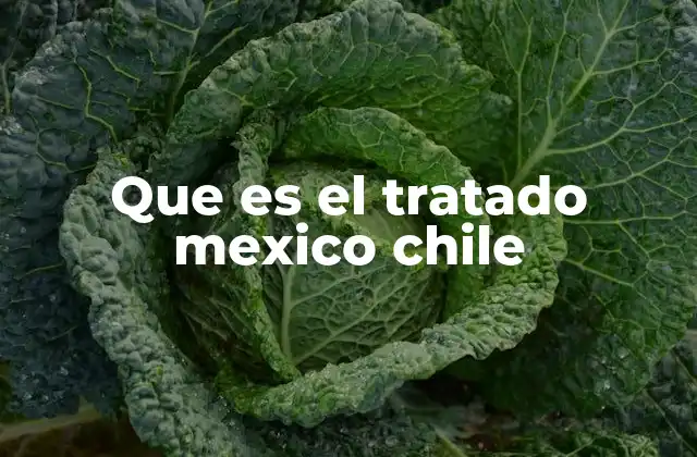 El papel del Tratado en la relación bilateral