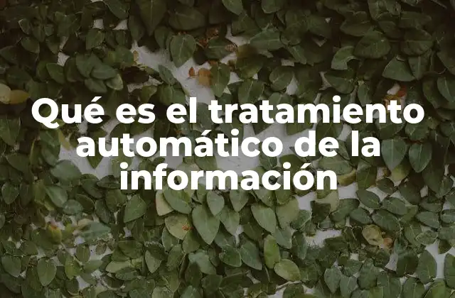Qué es el Tratamiento Automático de la Información