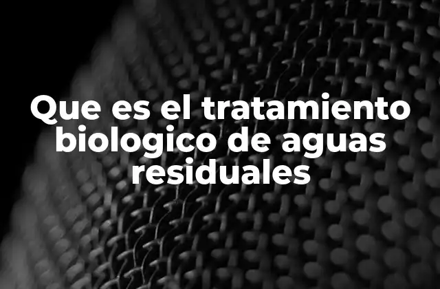 Que es el Tratamiento Biologico de Aguas Residuales