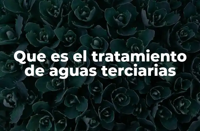 Que es el Tratamiento de Aguas Terciarias 2 La importancia del agua tratada para la sostenibilidad