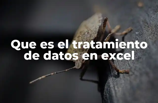 Que es el Tratamiento de Datos en Excel