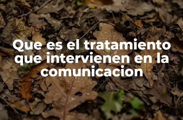 Que es el Tratamiento que Intervienen en la Comunicacion