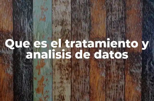Que es el Tratamiento y Analisis de Datos