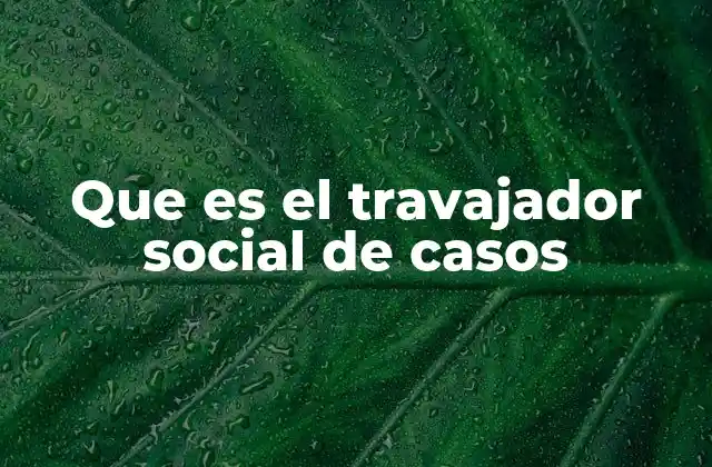 Que es el Travajador Social de Casos