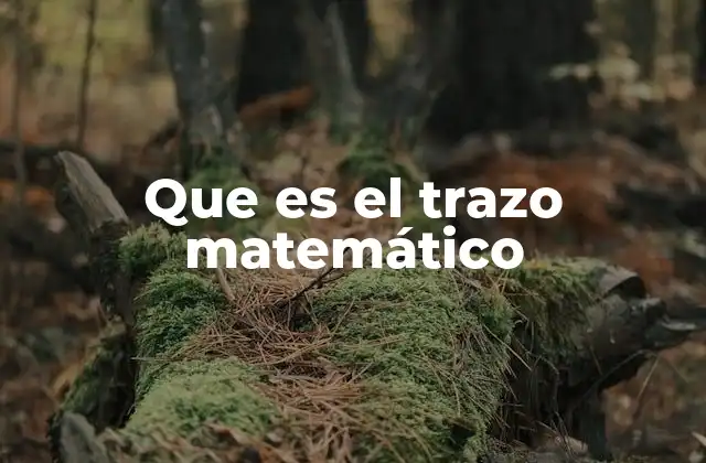 Que es el Trazo Matemático