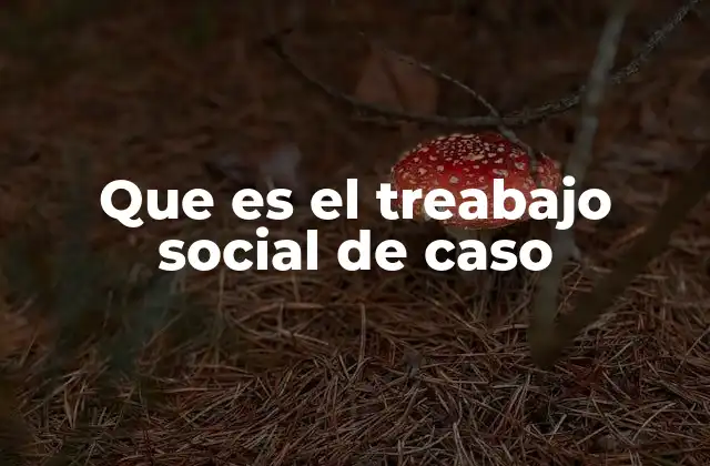 Que es el Treabajo Social de Caso