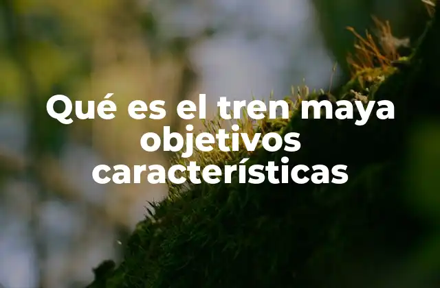 Qué es el Tren Maya Objetivos Características