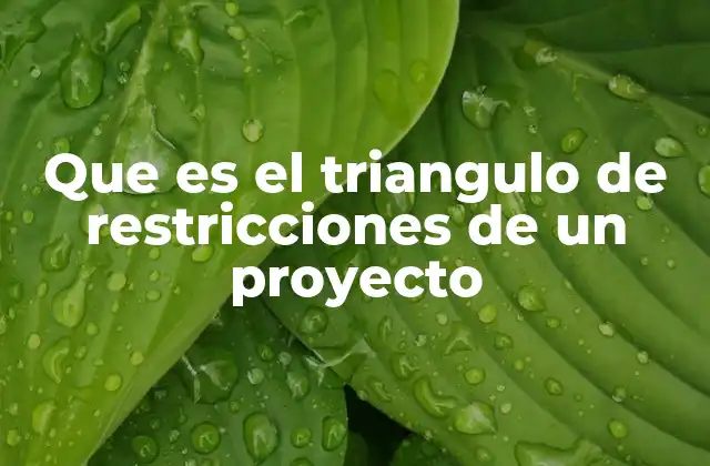 Que es el Triangulo de Restricciones de un Proyecto 2 La importancia de equilibrar los elementos del triángulo