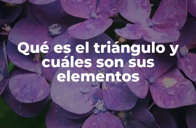 Qué es el Triángulo y Cuáles Son Sus Elementos