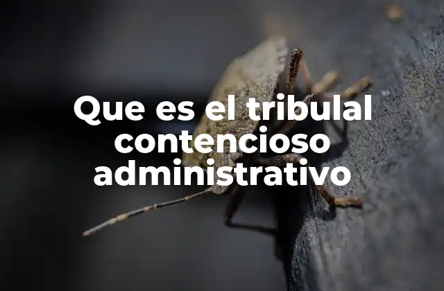 Que es el Tribulal Contencioso Administrativo
