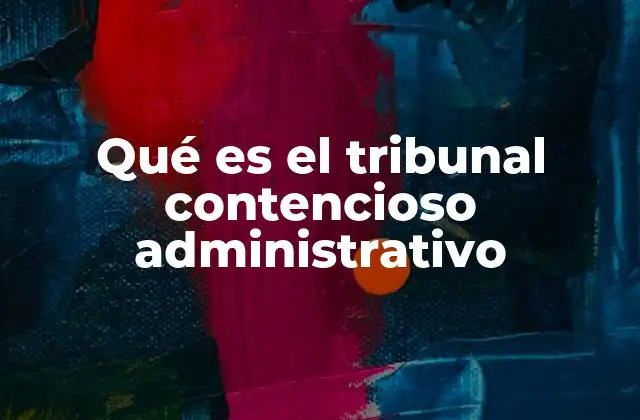 Qué es el Tribunal Contencioso Administrativo 2 La función del sistema judicial en la defensa de los derechos frente al Estado