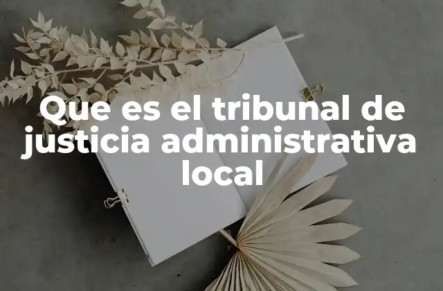 Funciones y alcance de los tribunales administrativos locales