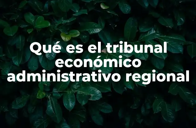 Qué es el Tribunal Económico Administrativo Regional