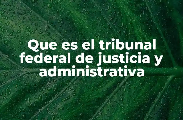 Que es el Tribunal Federal de Justicia y Administrativa