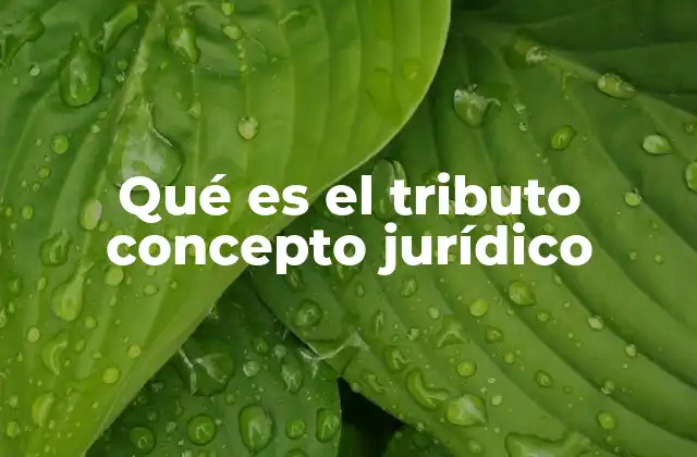 Qué es el Tributo Concepto Jurídico